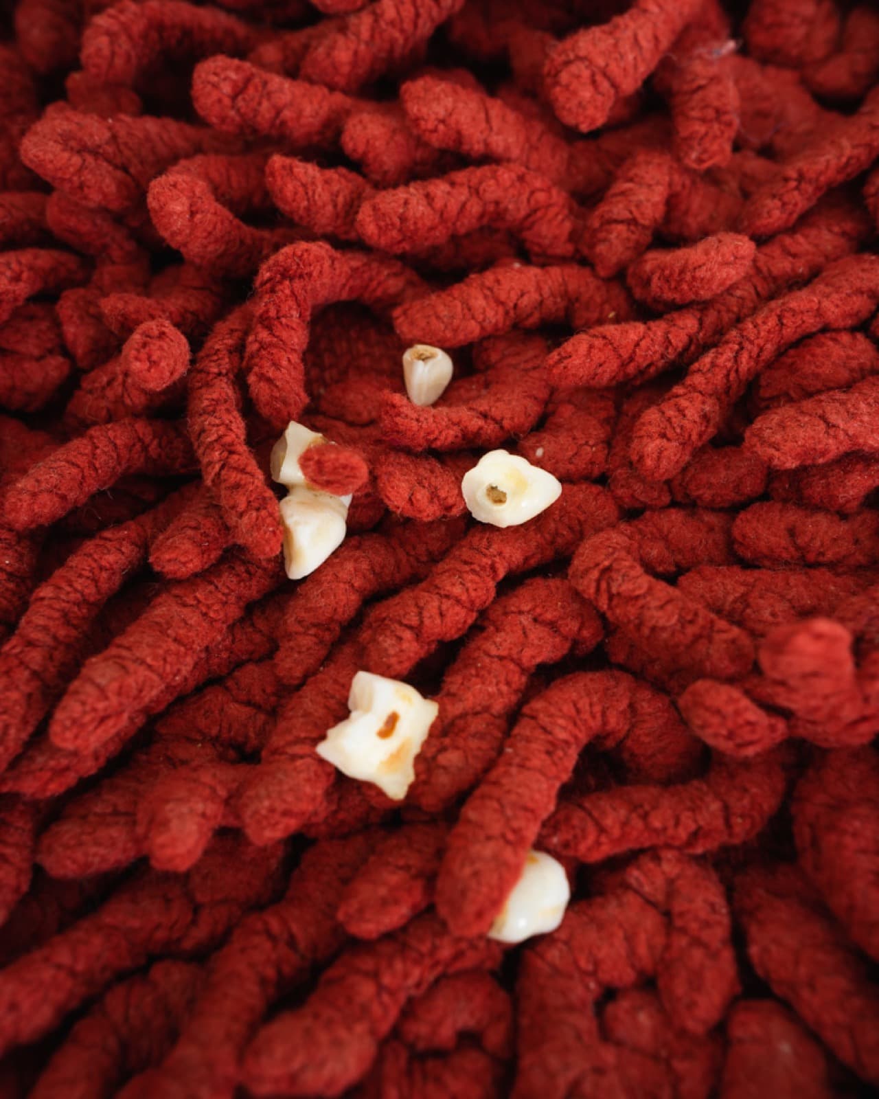 A Delayed Advent, A Vain Search - Image 2