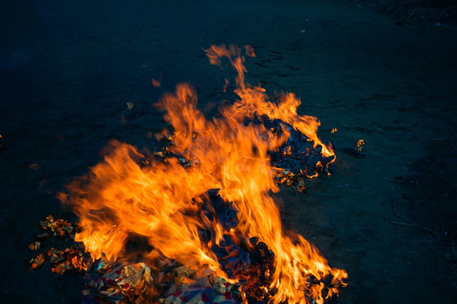 A Delayed Advent, A Vain Search - Image 4