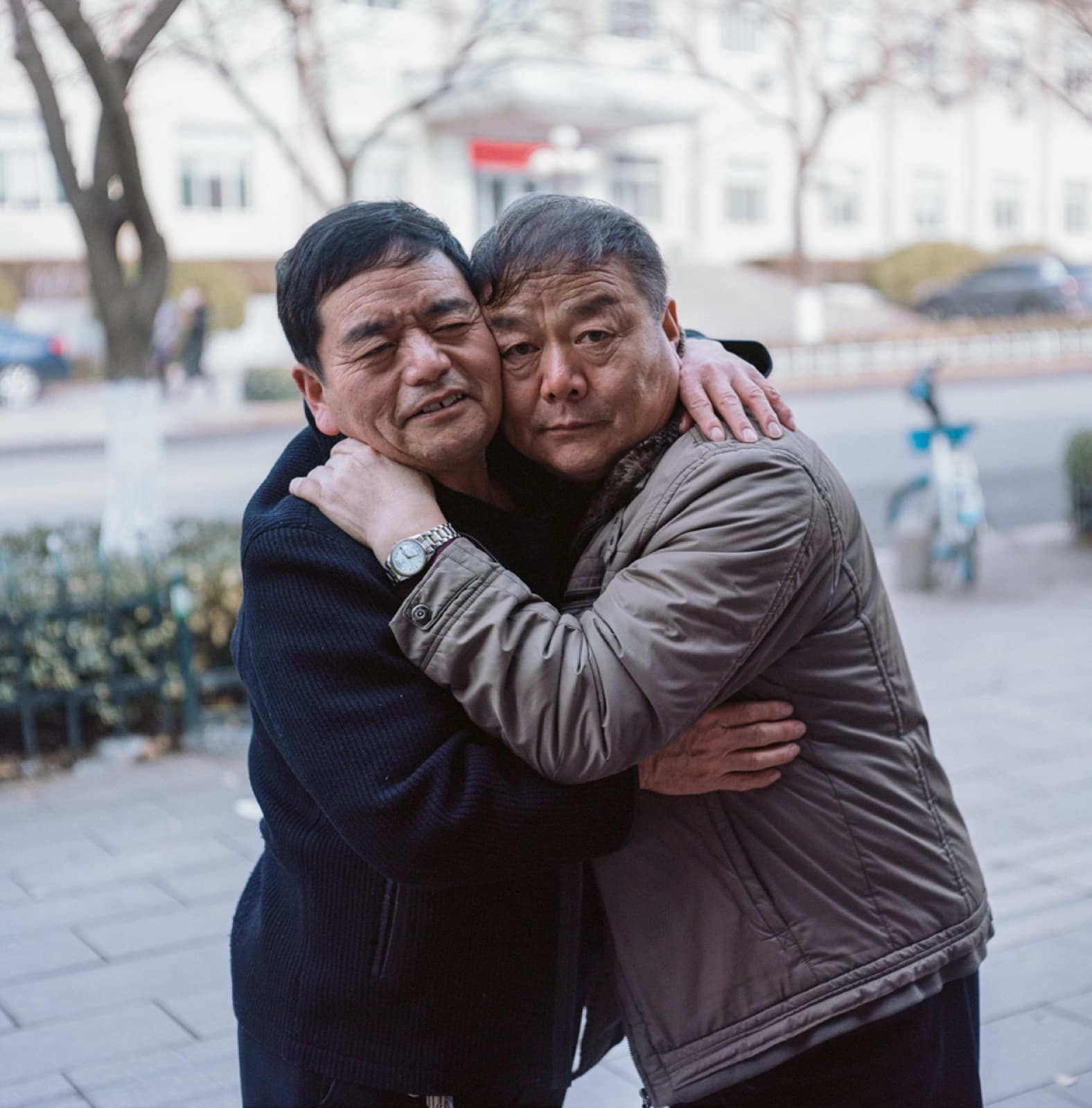 A Delayed Advent, A Vain Search - Image 6