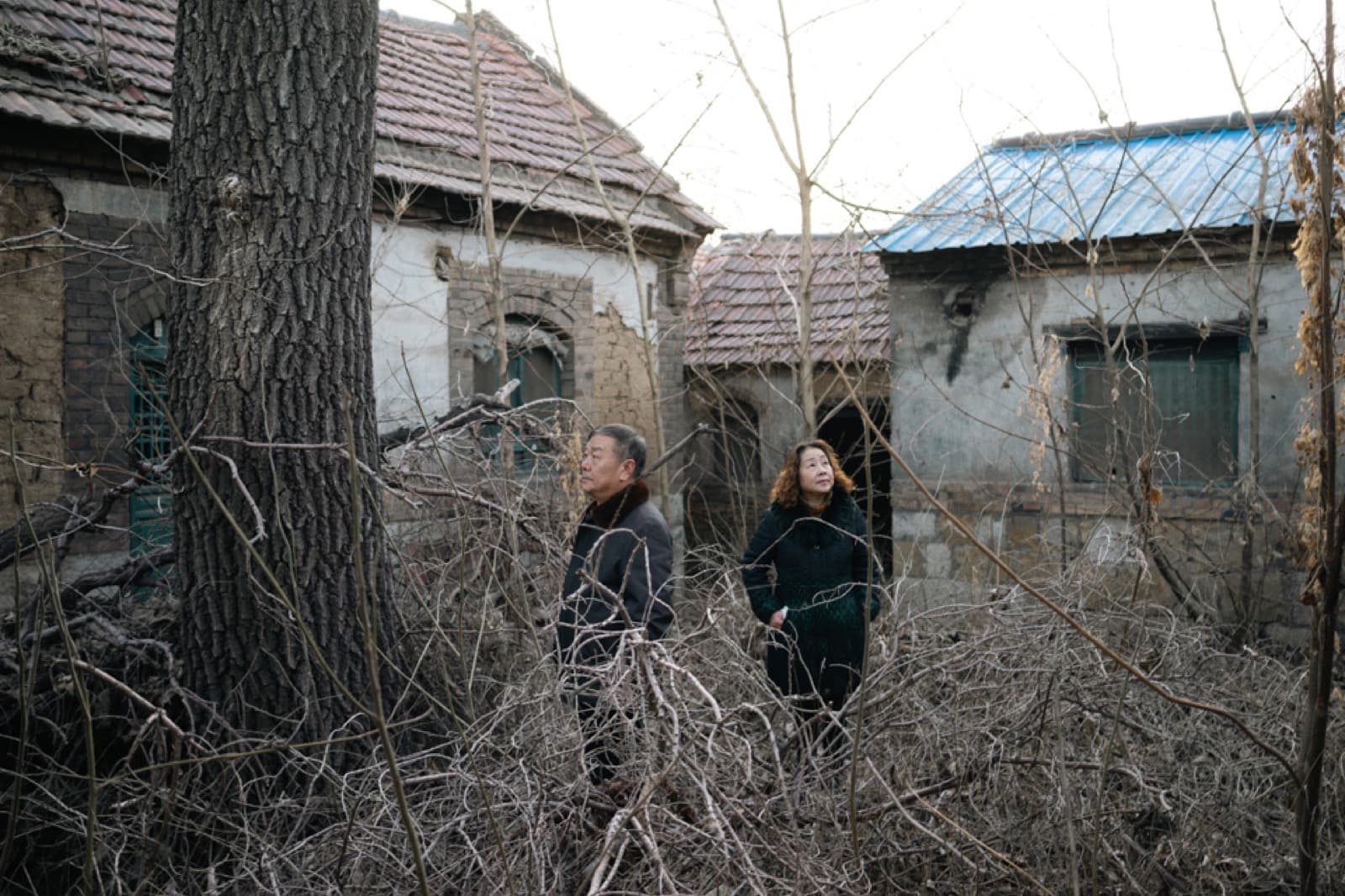 A Delayed Advent, A Vain Search - Image 7