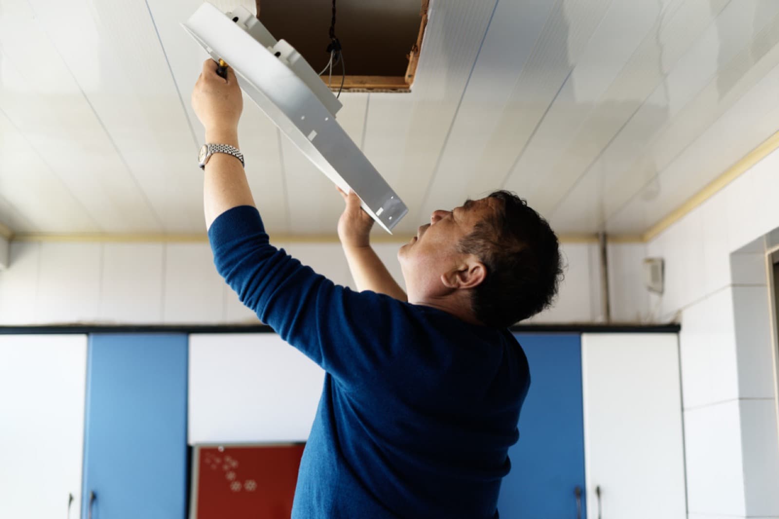 A Delayed Advent, A Vain Search - Image 11