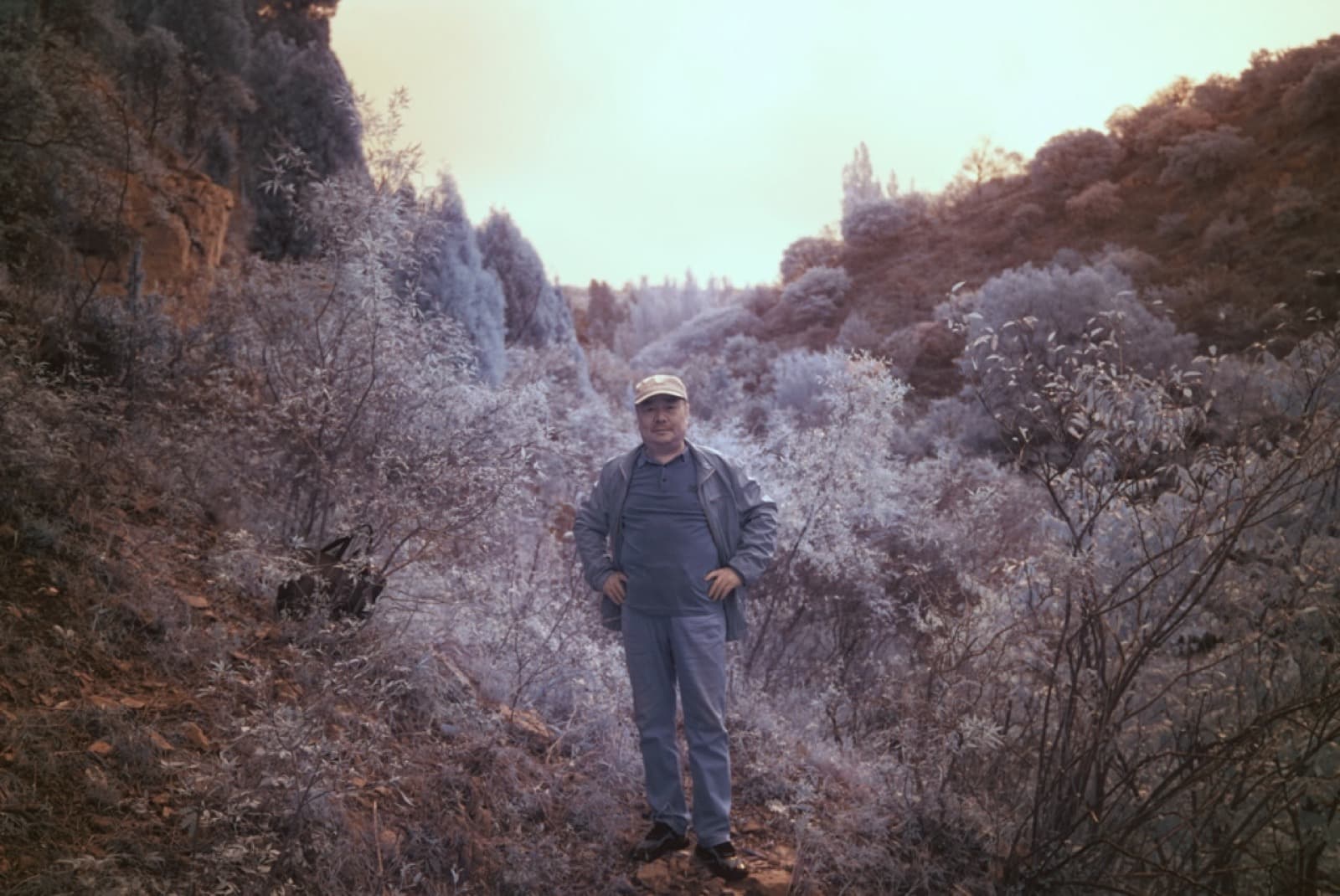 A Delayed Advent, A Vain Search - Image 12