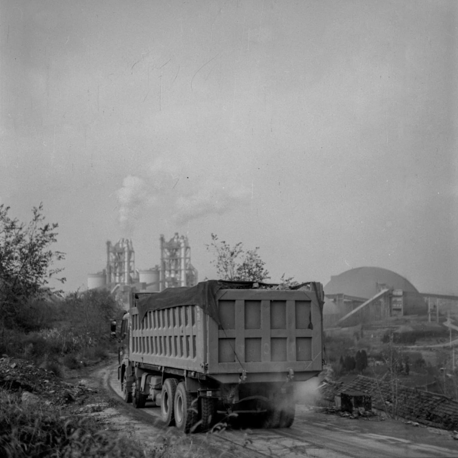 Forgotten Ancestors - Image 1