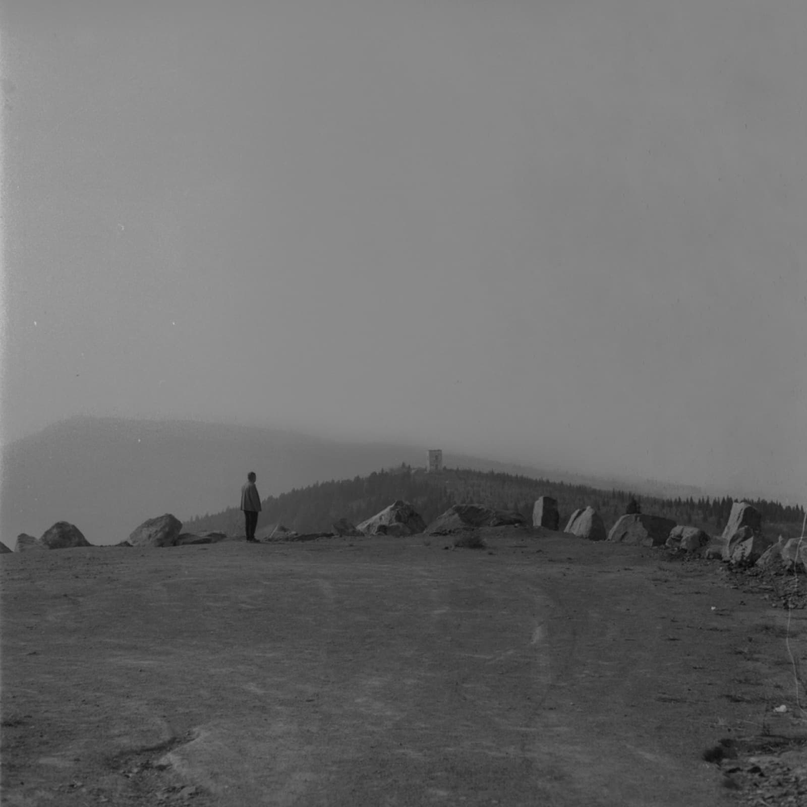 Forgotten Ancestors - Image 5