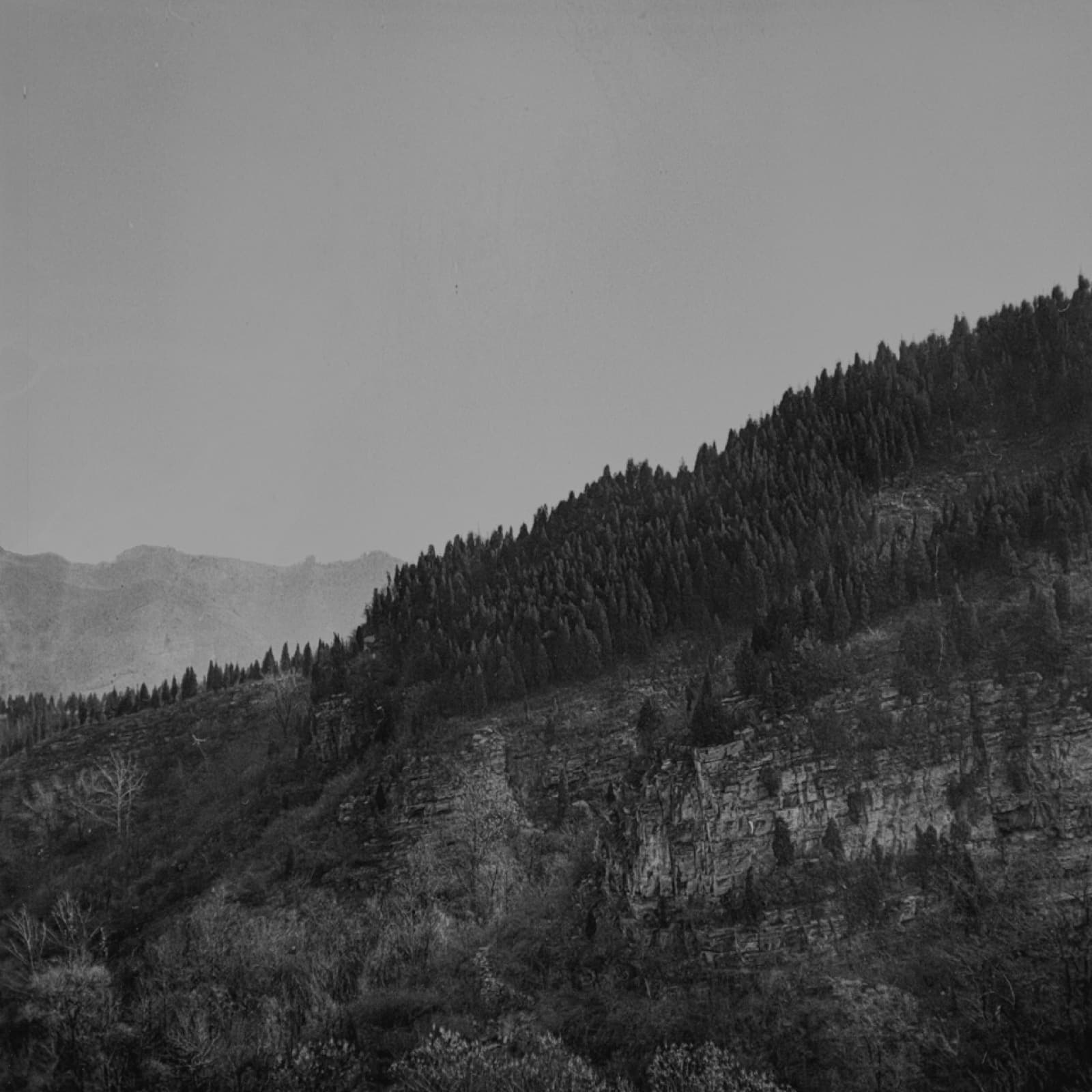 Forgotten Ancestors - Image 7