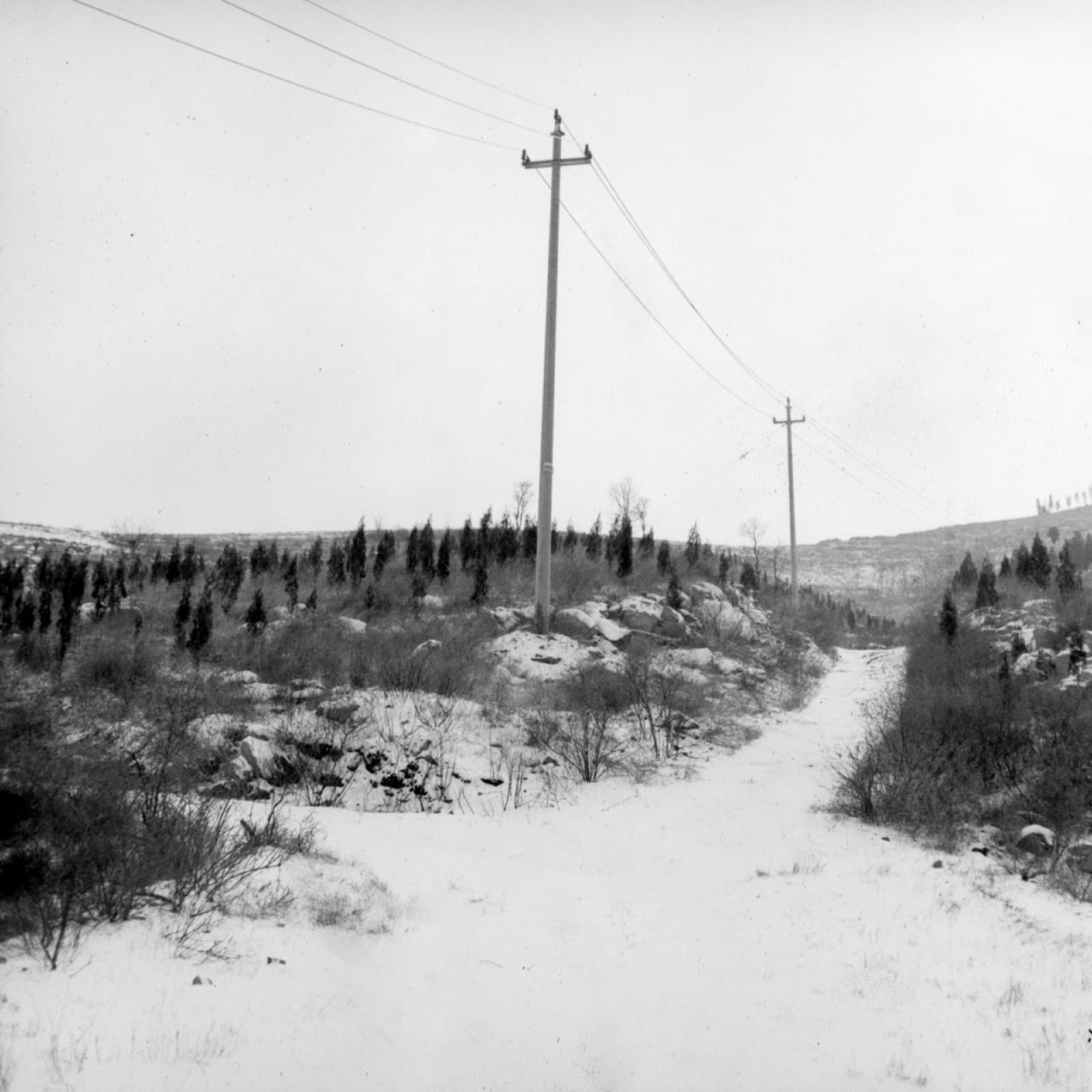 Forgotten Ancestors - Image 10