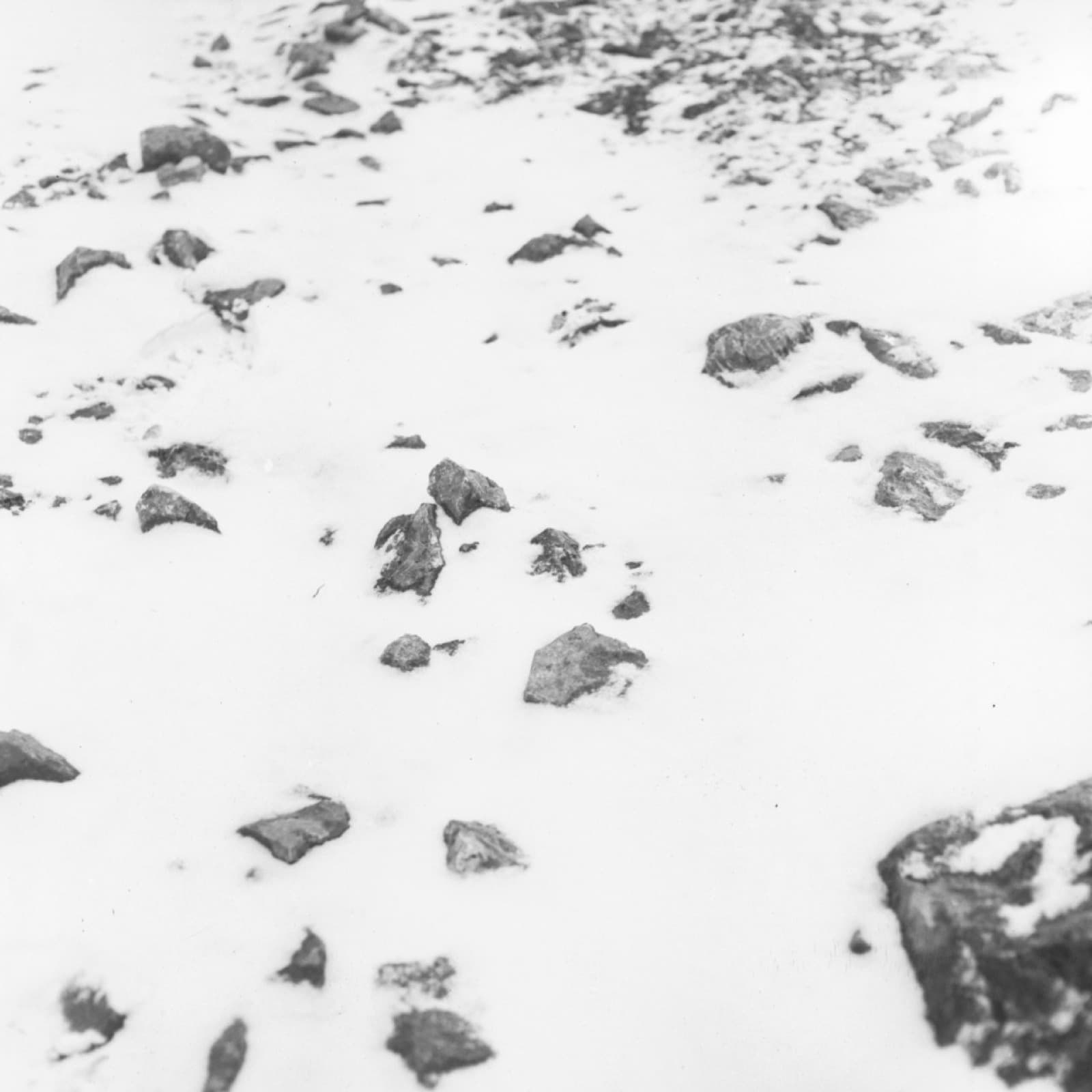 Forgotten Ancestors - Image 11