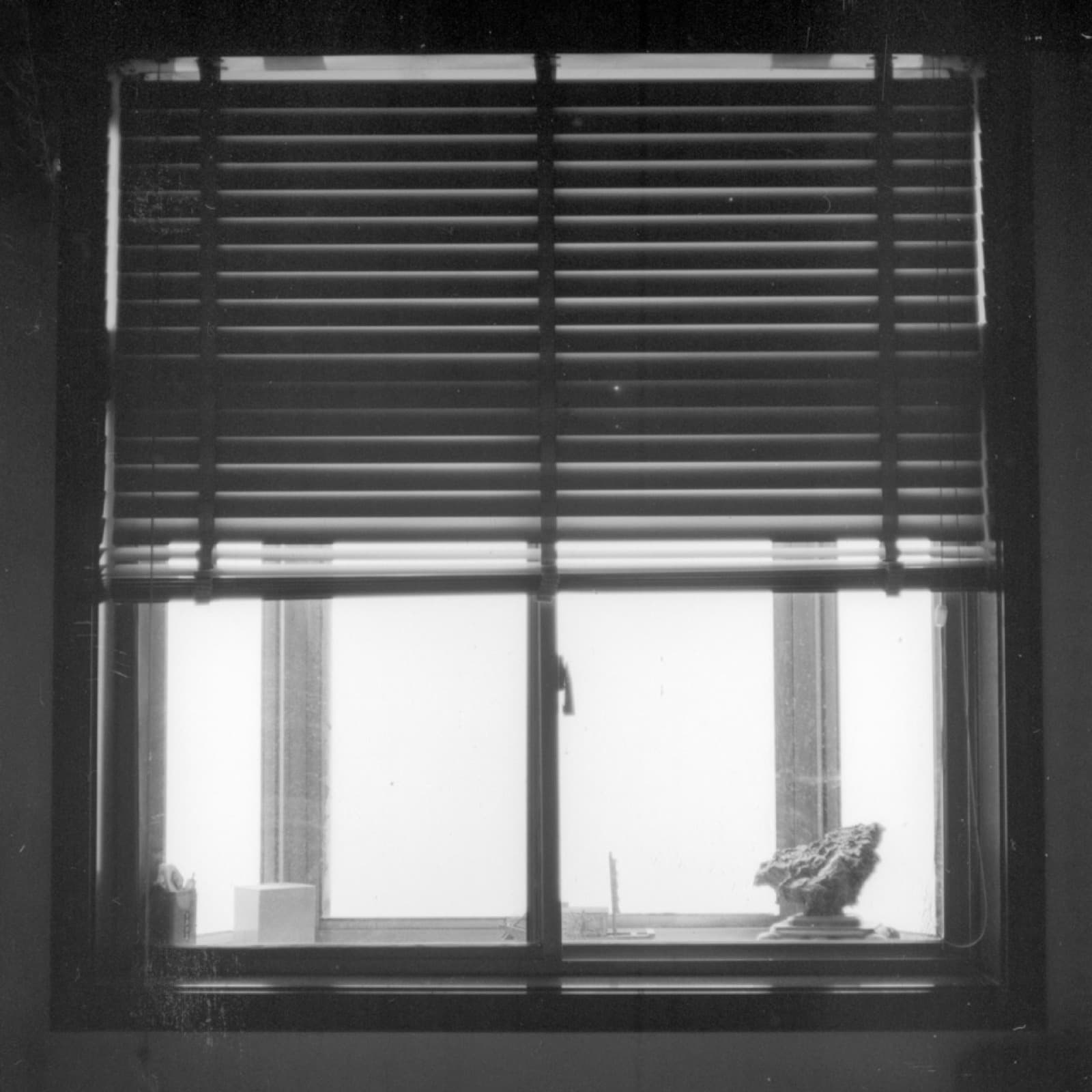 Forgotten Ancestors - Image 18