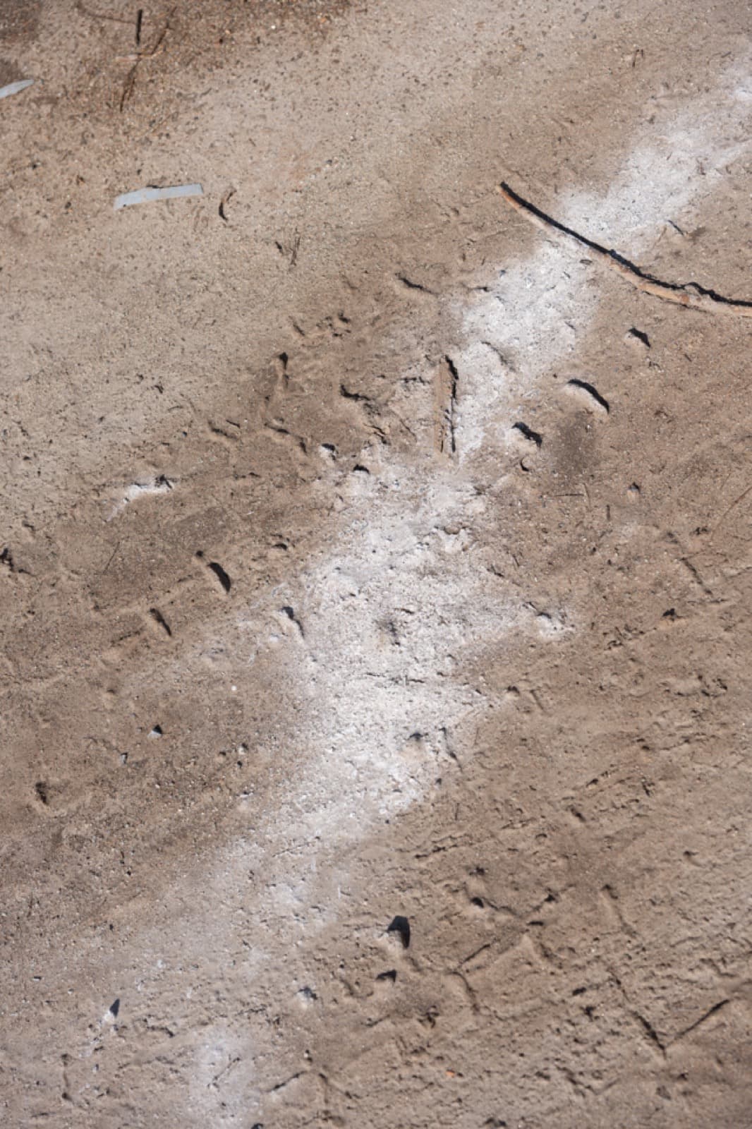 Walking, Eating, Coughing - Image 8