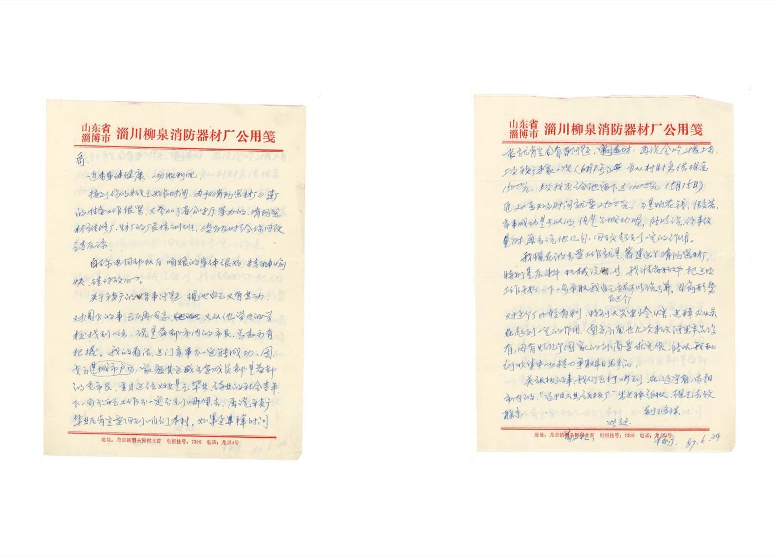 Wheat Grows Beneath the Snow - Image 6