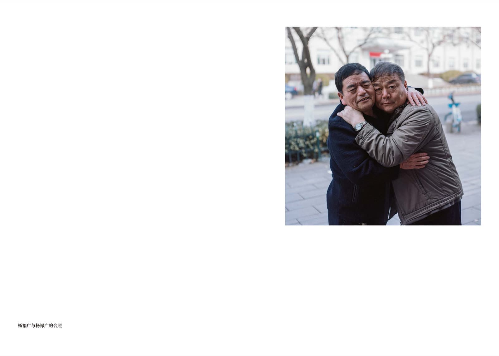 Wheat Grows Beneath the Snow - Image 8