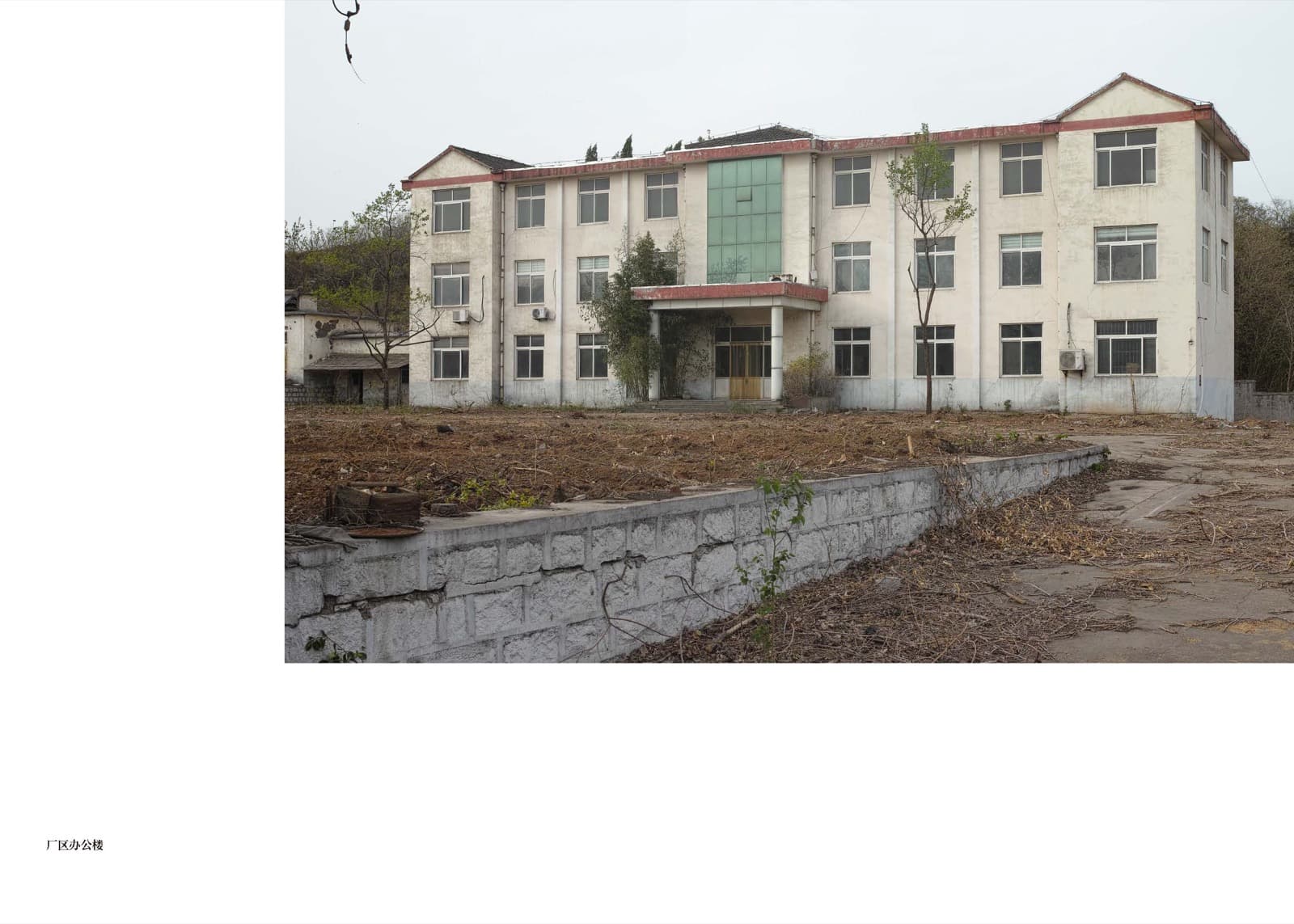 Wheat Grows Beneath the Snow - Image 9