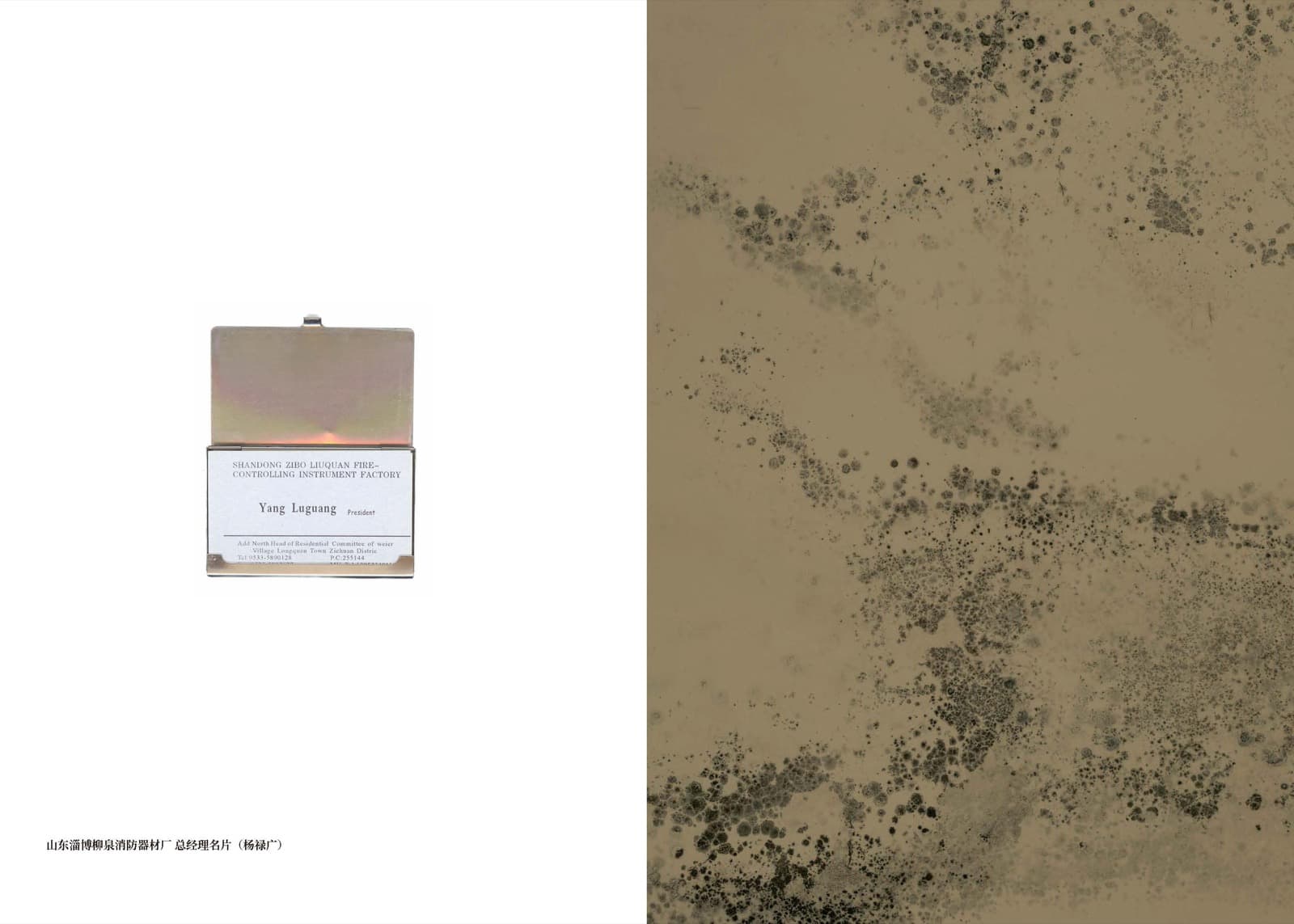 Wheat Grows Beneath the Snow - Image 10