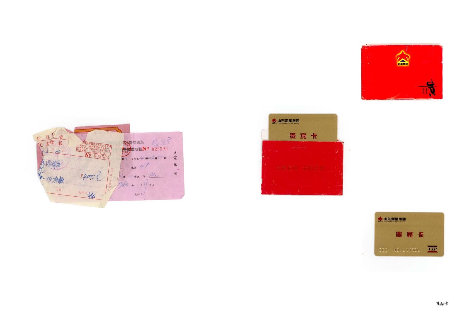 Wheat Grows Beneath the Snow - Image 12