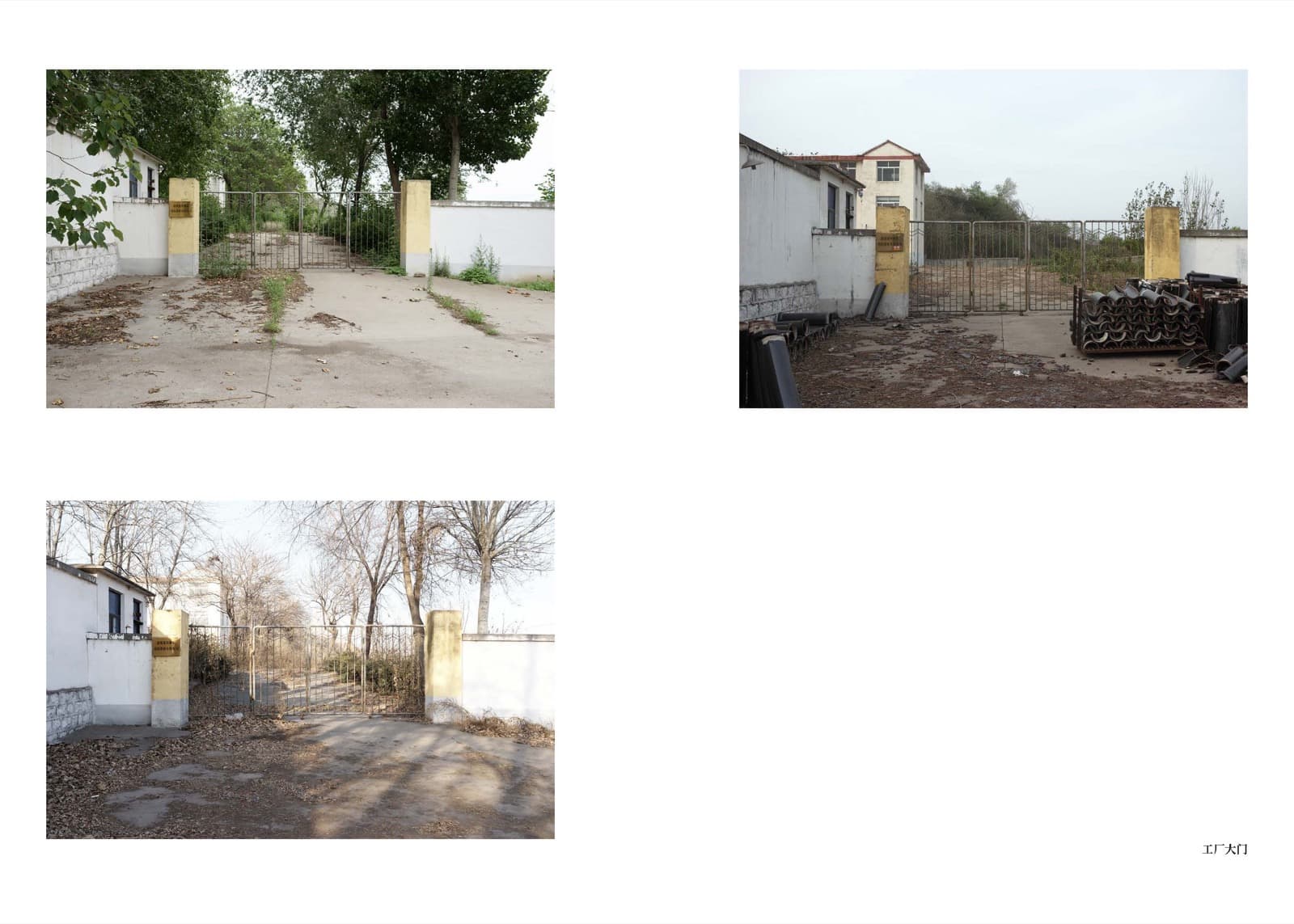 Wheat Grows Beneath the Snow - Image 13