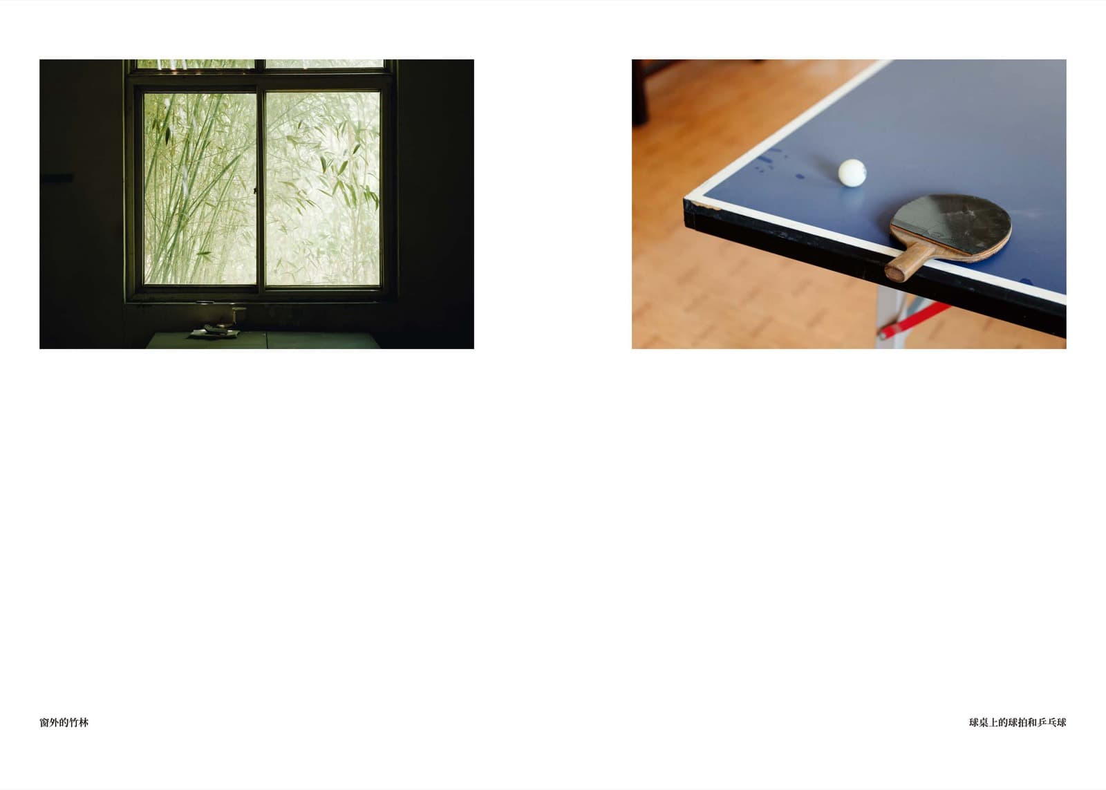 Wheat Grows Beneath the Snow - Image 15