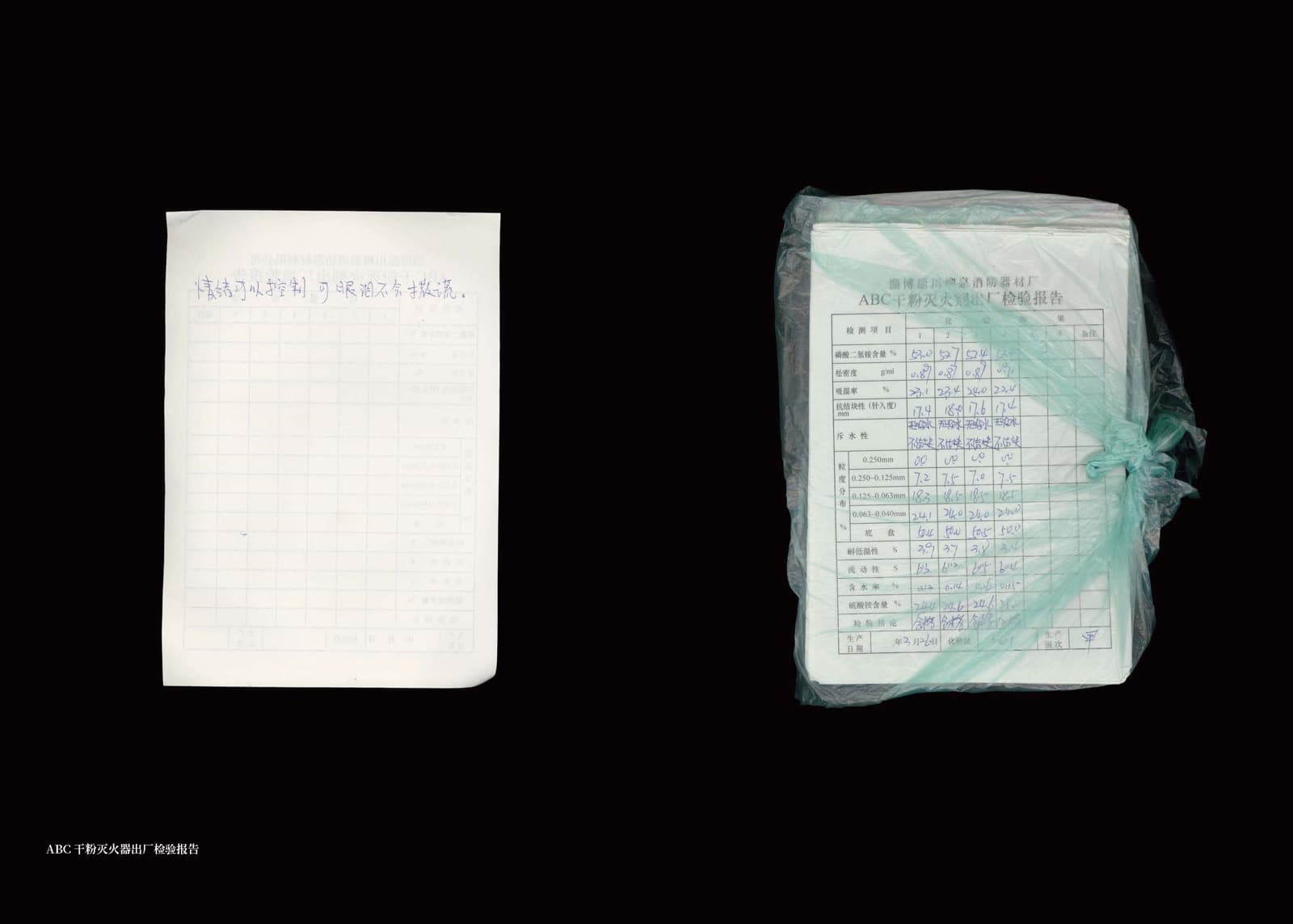 Wheat Grows Beneath the Snow - Image 19