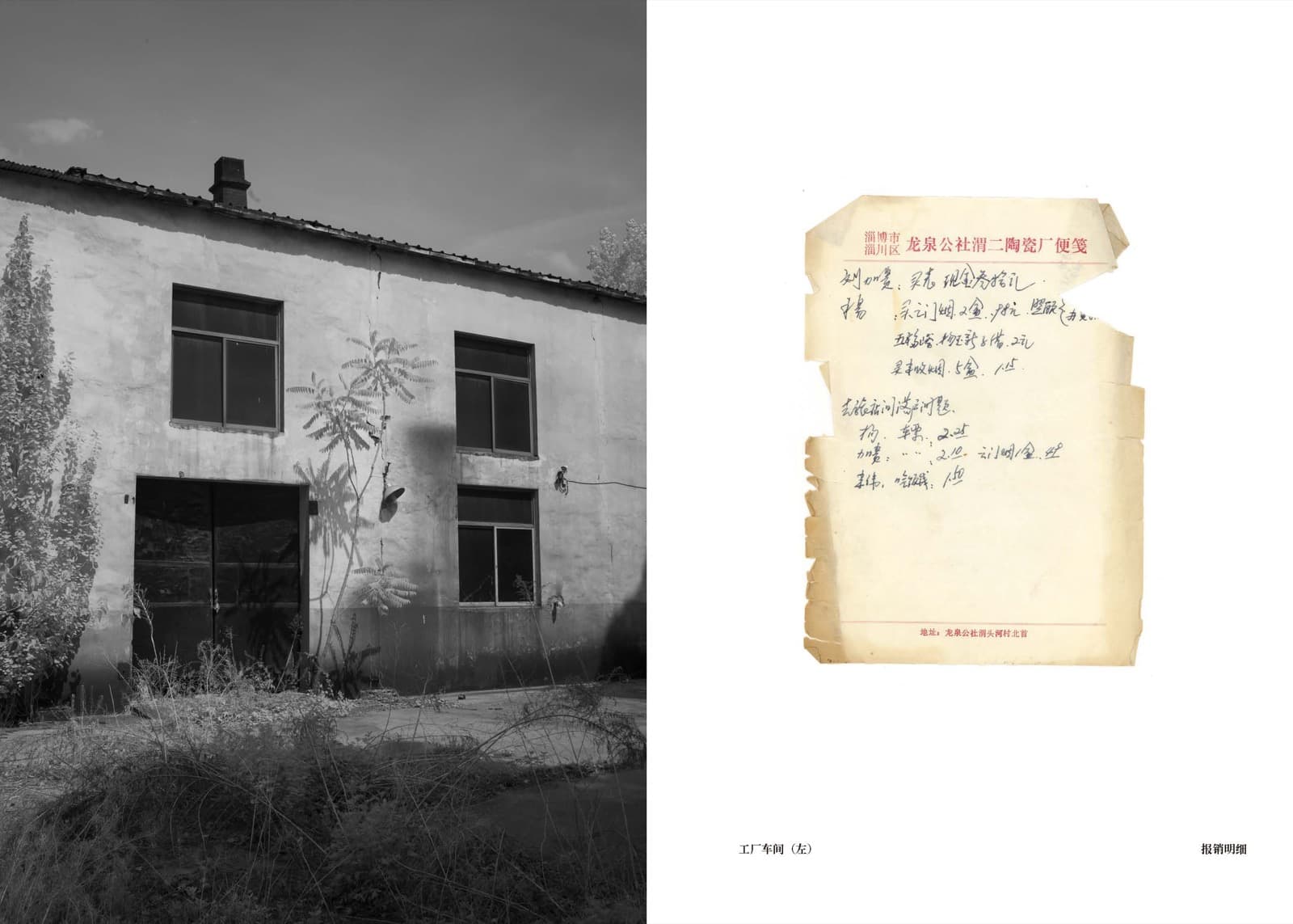 Wheat Grows Beneath the Snow - Image 27