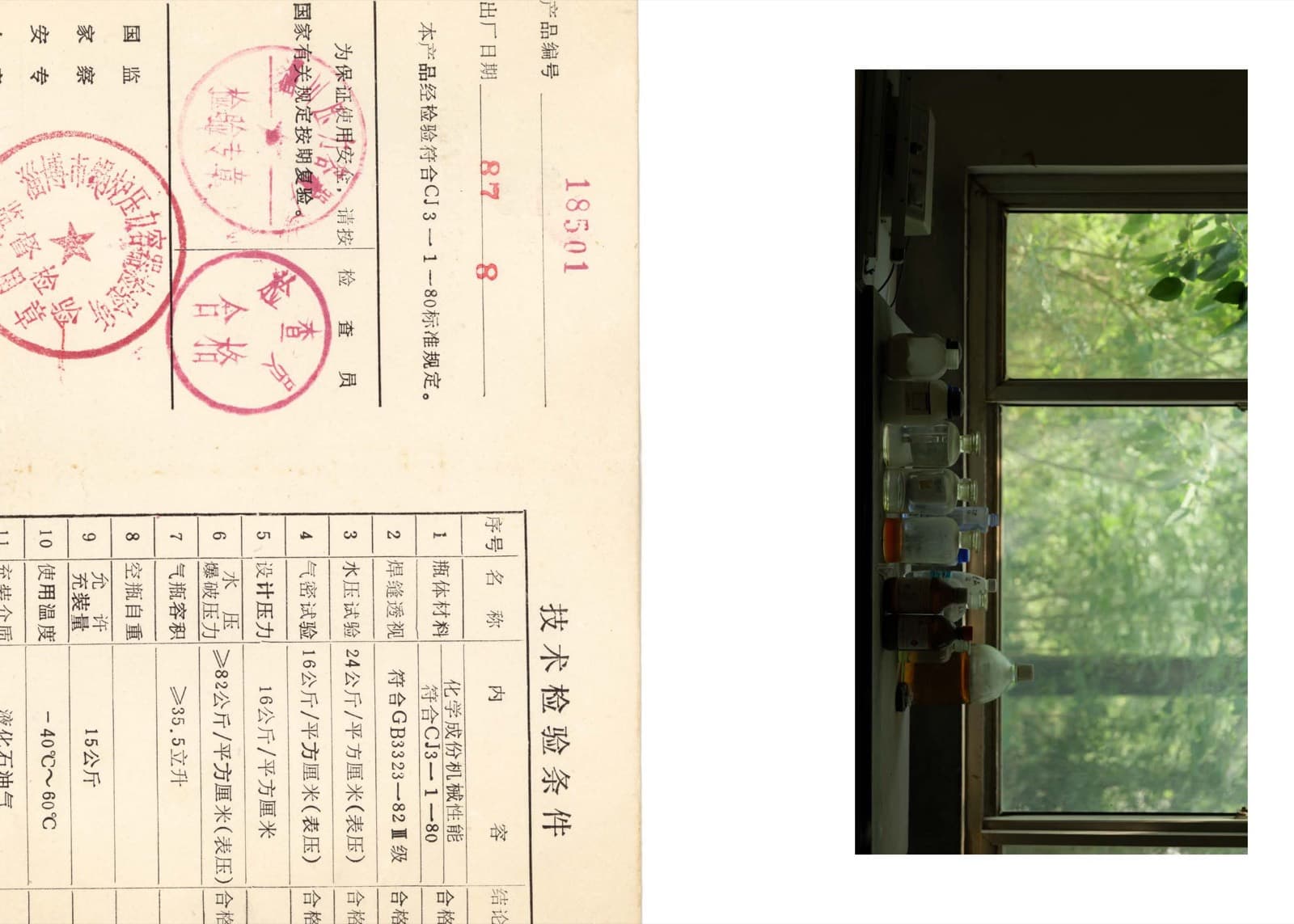 Wheat Grows Beneath the Snow - Image 31