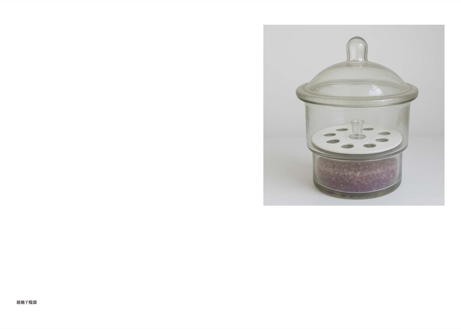 Wheat Grows Beneath the Snow - Image 33