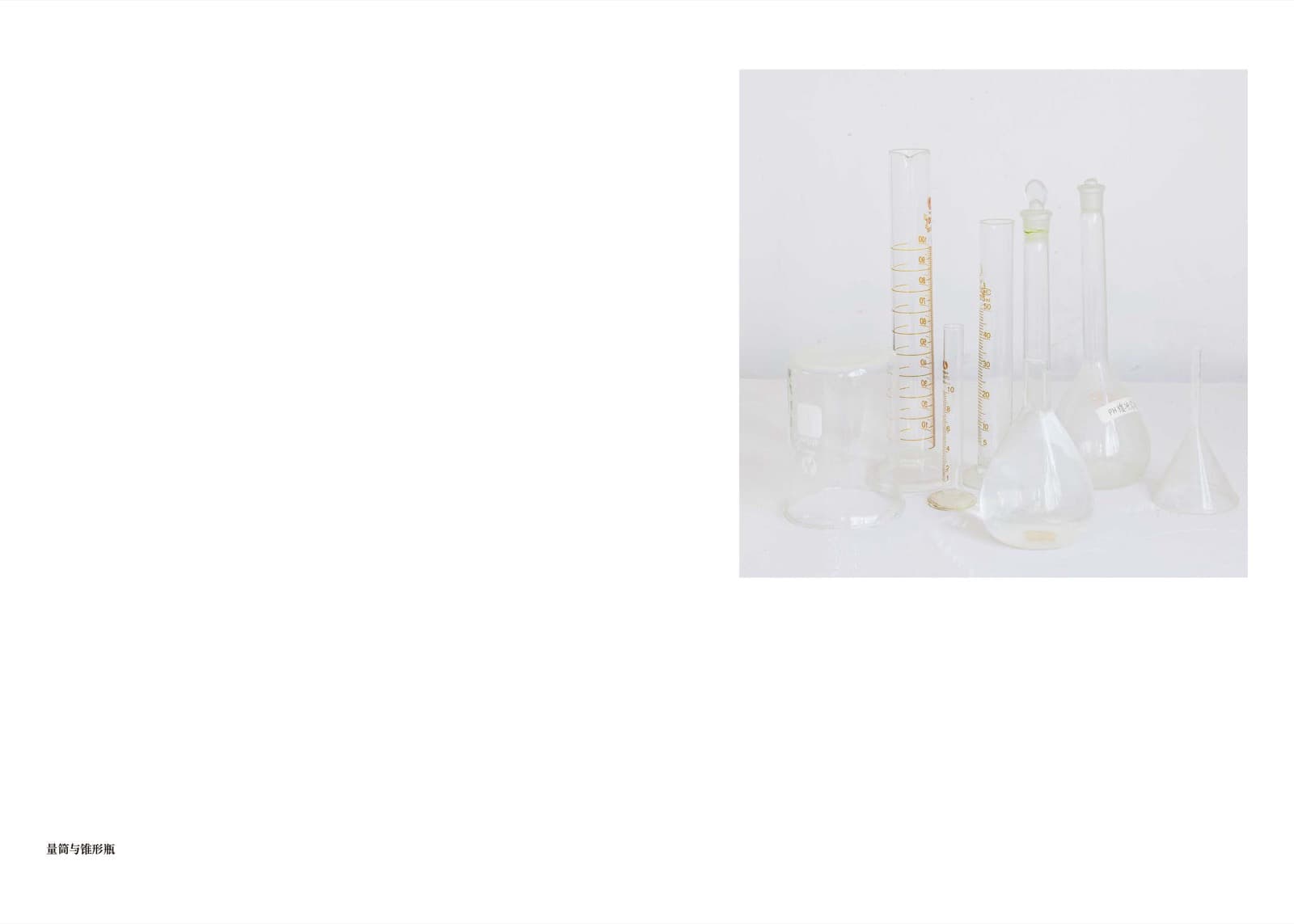 Wheat Grows Beneath the Snow - Image 36