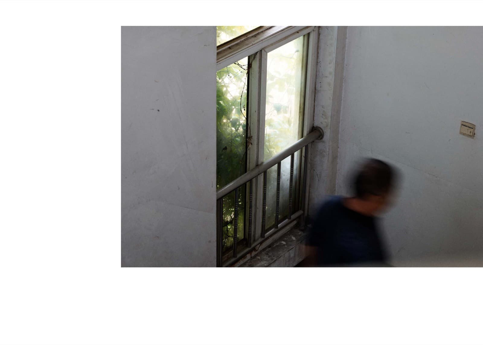 Wheat Grows Beneath the Snow - Image 40