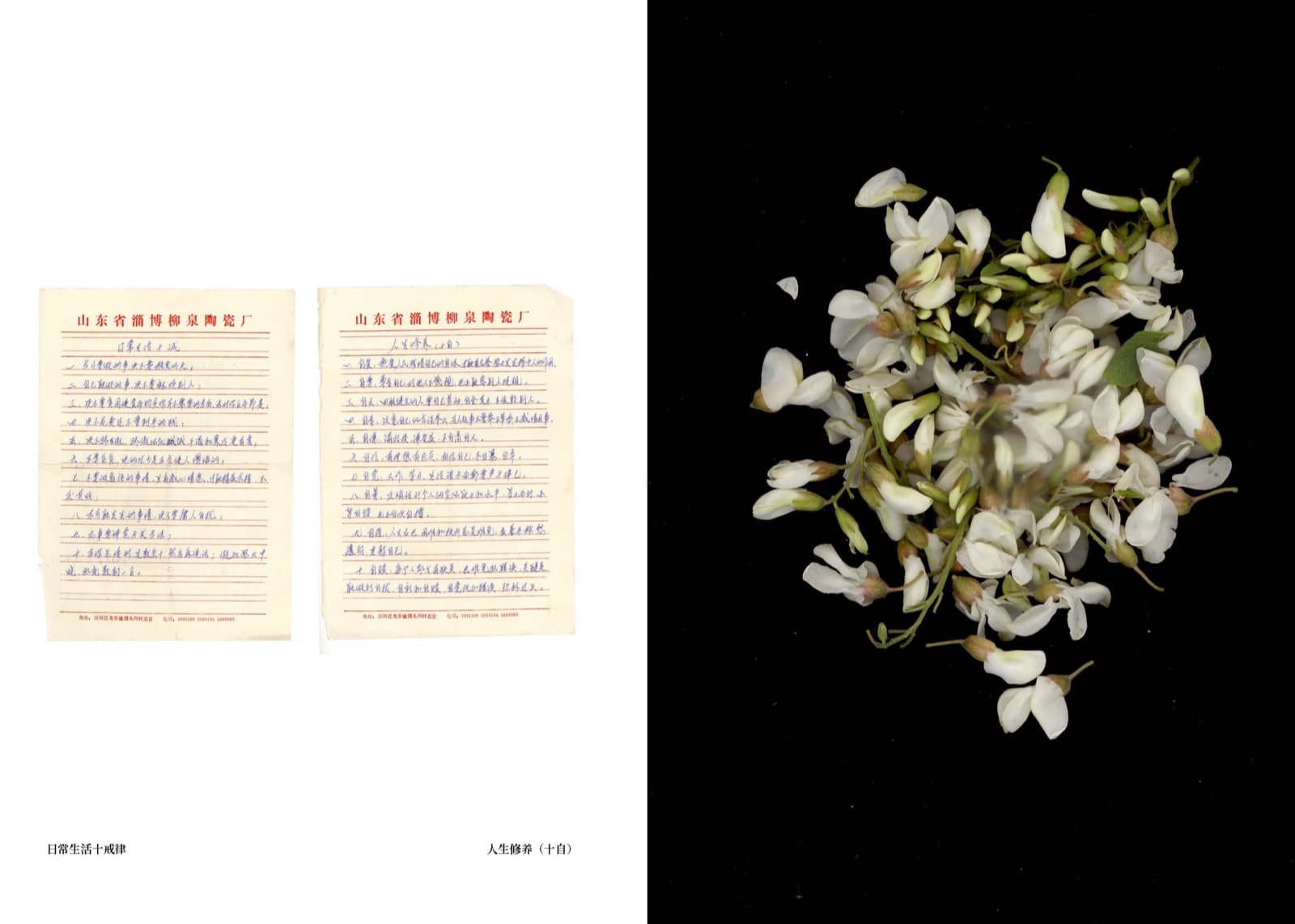 Wheat Grows Beneath the Snow - Image 42