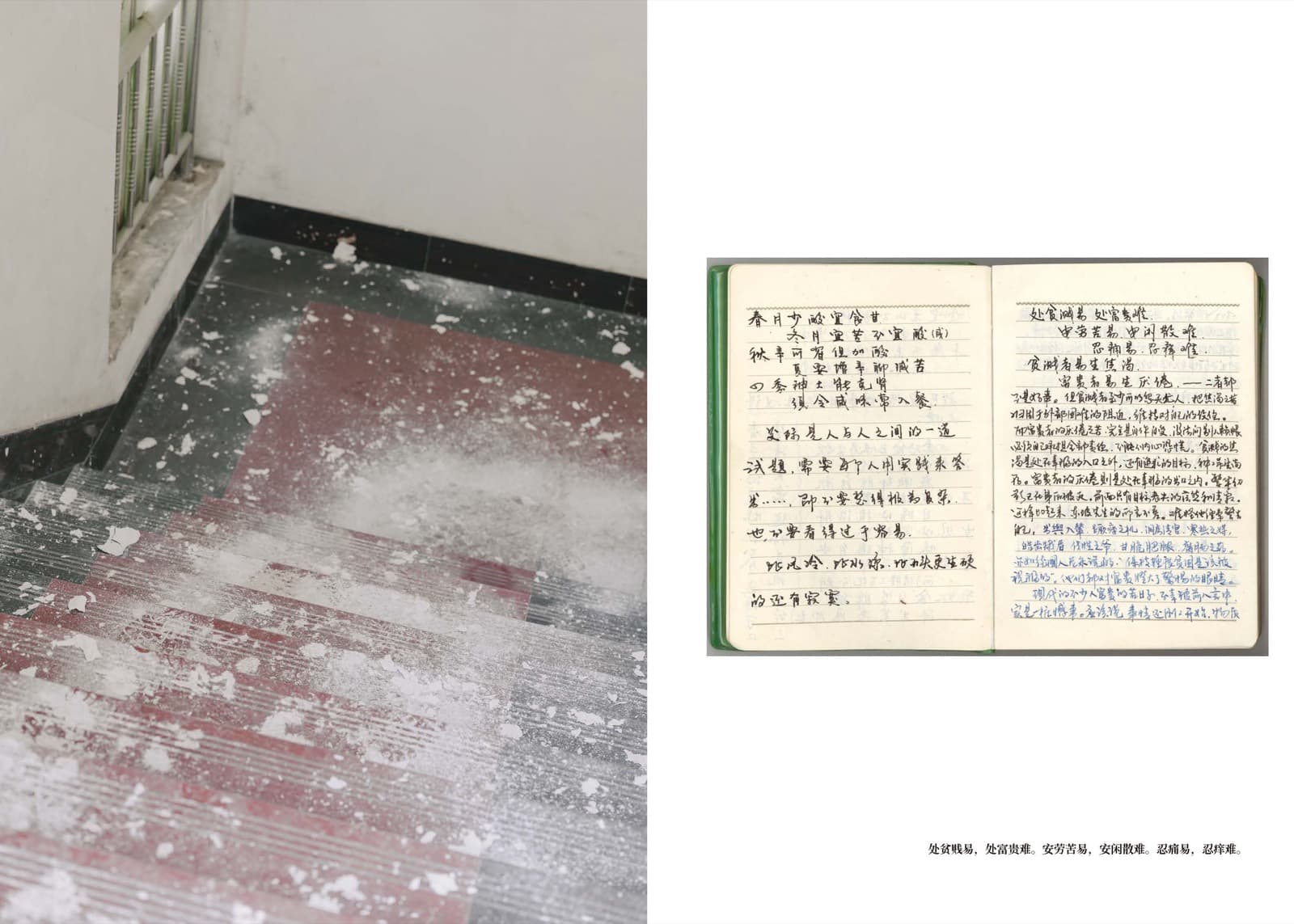 Wheat Grows Beneath the Snow - Image 47